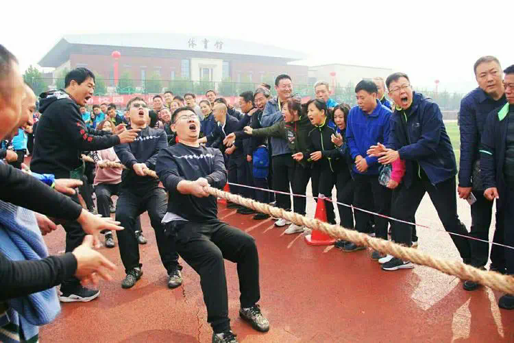 专家解析：塑胶跑道材料组合成分的突破性创新